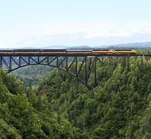 Train crossing a bridge. Photo by John Combs.