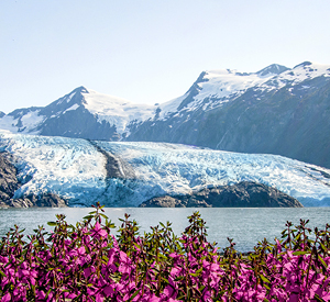 Photo of the portage glacier.